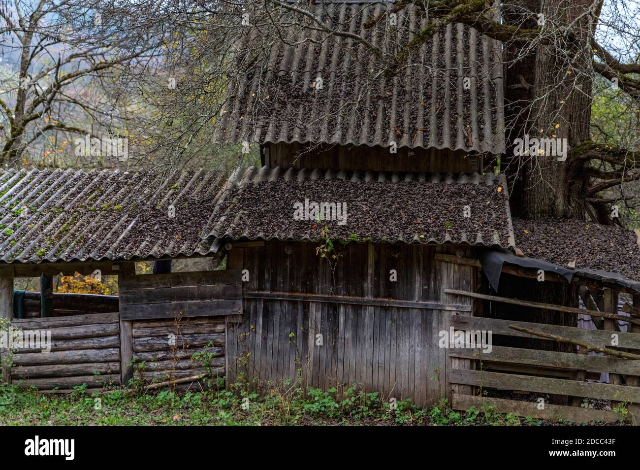 The old abandoned wooden house in the russian village Stock Photo - Alamy