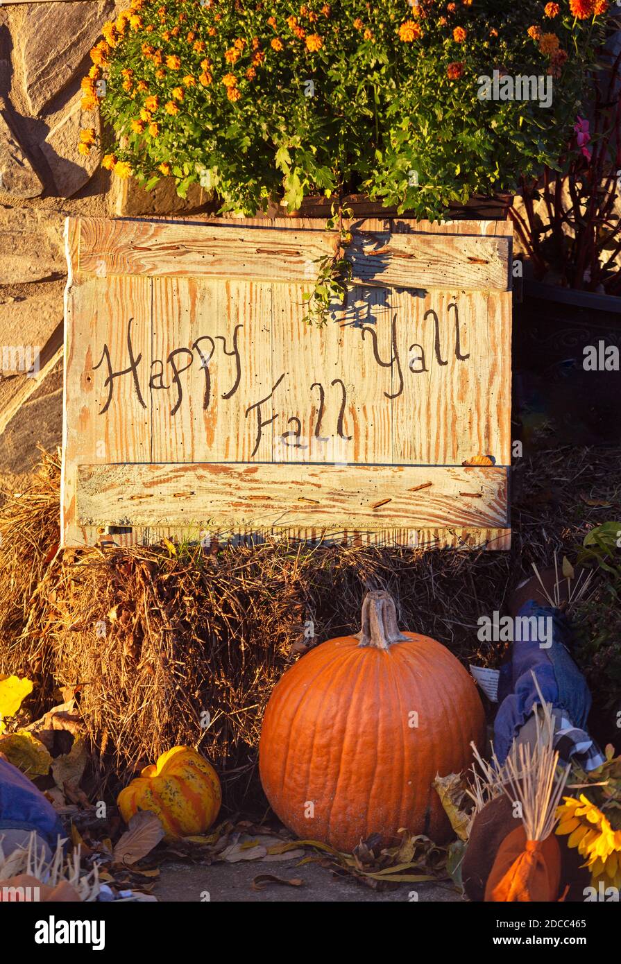 US Southern autumn display with a greeting sign, Chrysanthemum, a pumpkin and other decorative elements Stock Photo