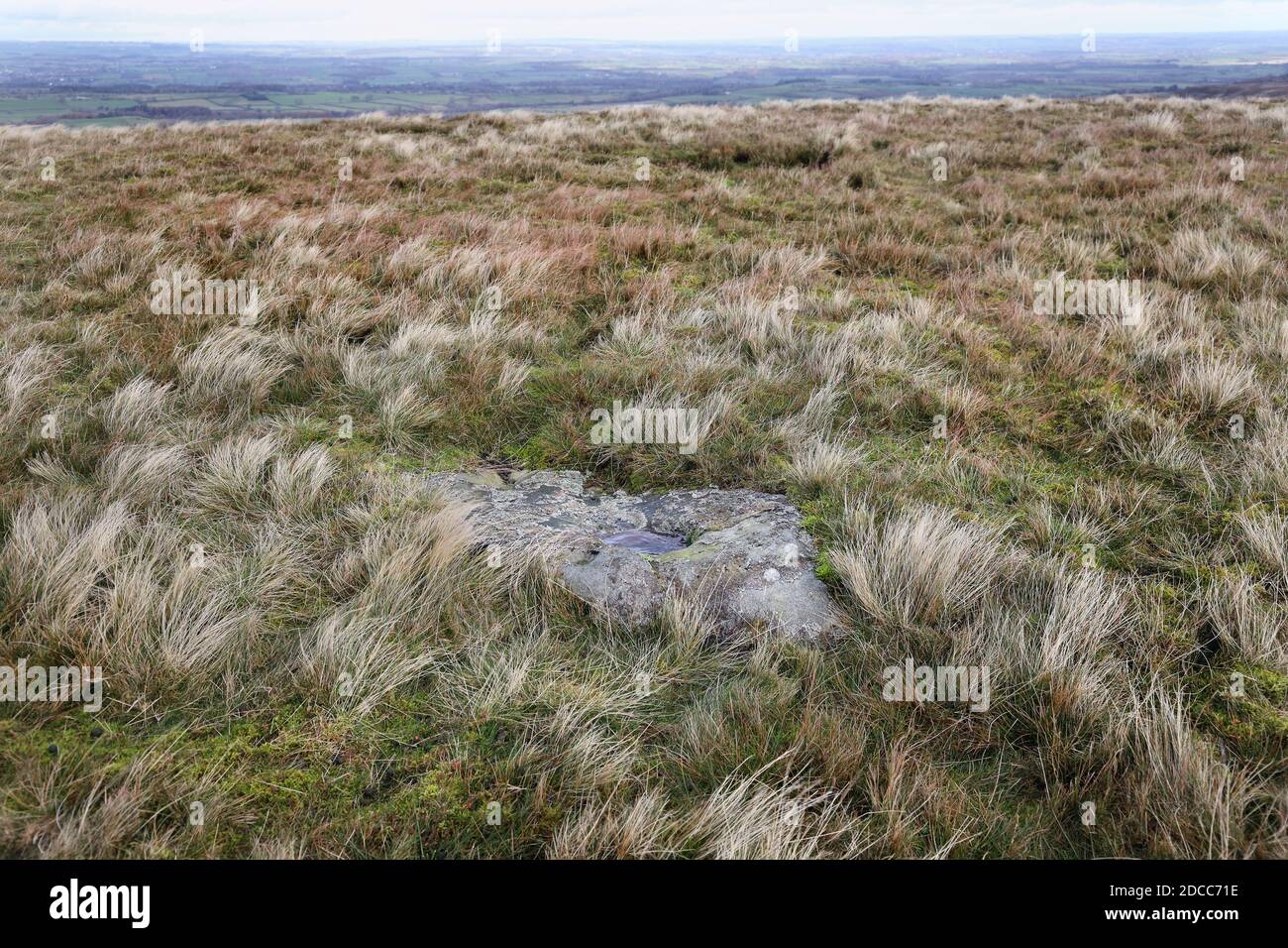 Ancient Cup and Ring Marked Stone on Eel Hill, Barningham Moor, Barningham, Teesdale, County Durham, UK Stock Photo