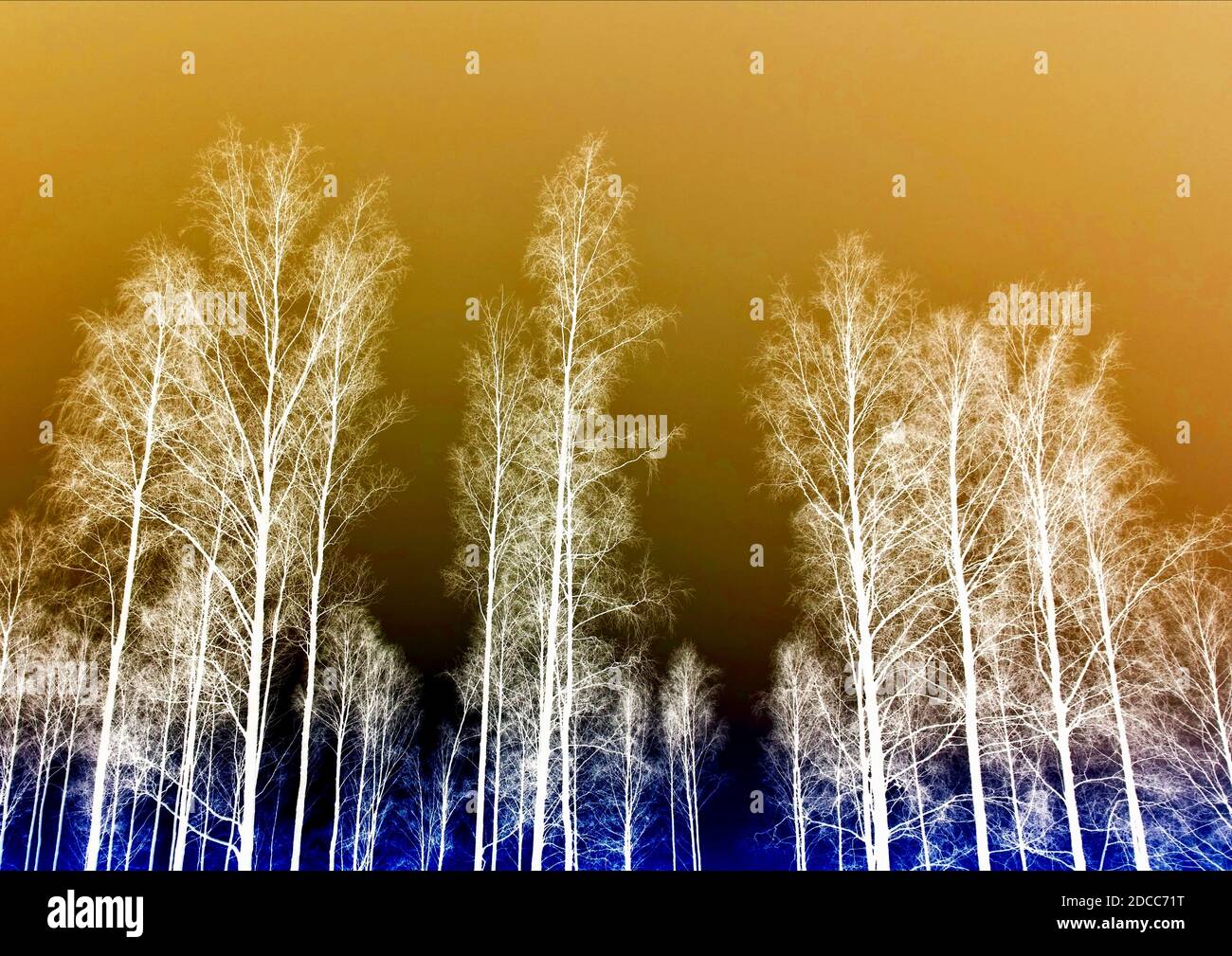 Colour inverted treescape Stock Photo Alamy