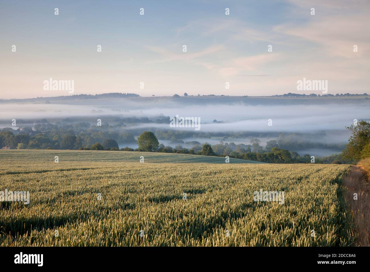 Early morning mist in the Nadder Valley near the village of Barford St. Martin, Wiltshire. Stock Photo