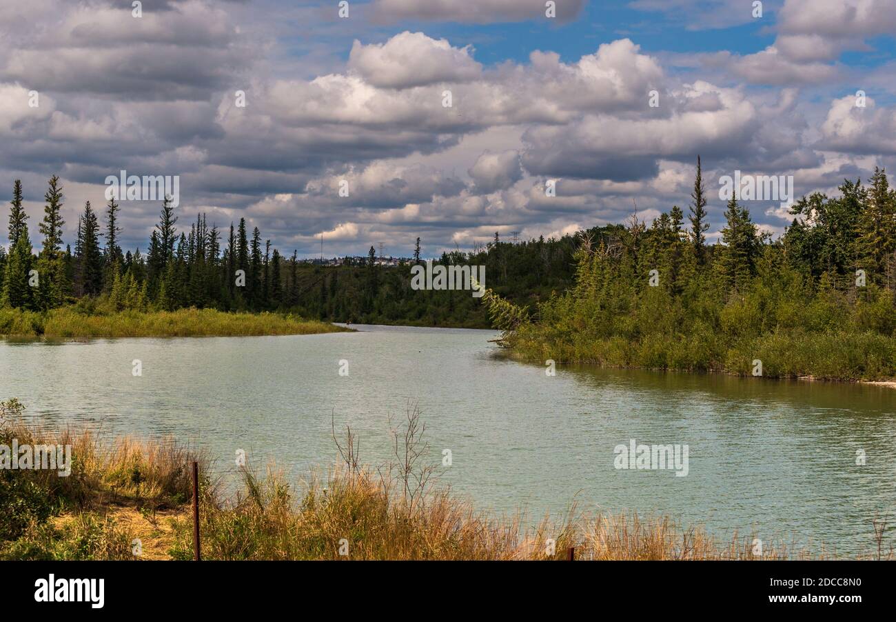 nature scenarios inside Glenmore Park, Calgary, Canada Stock Photo - Alamy