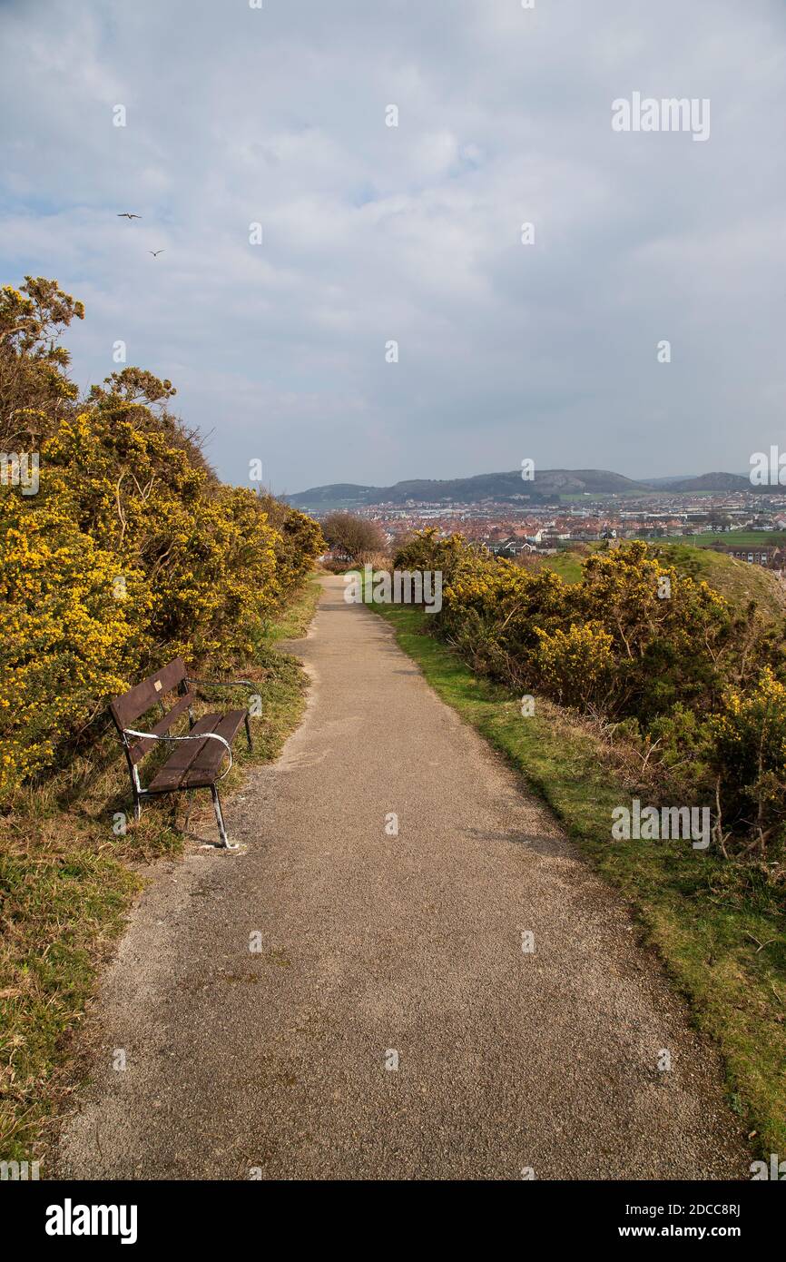 Invalids Walk a beautiful path on the lower slopes of the Great Orme, Llandudno providing wonderful views of both shores  Conwy and Snowdonia beyond. Stock Photo