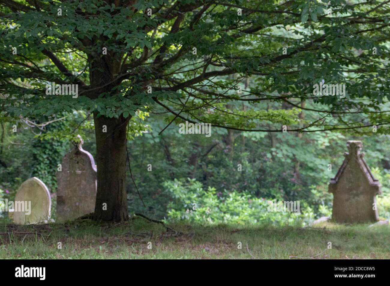 old gravestones in a churchyard Stock Photo - Alamy