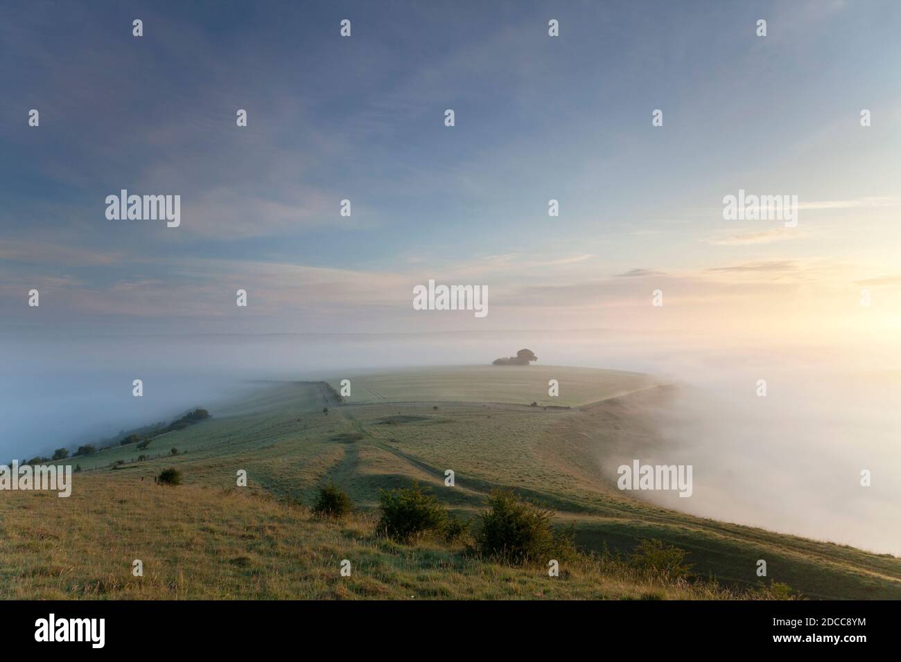 Early morning mist on the Wiltshire downs near the village of Burcombe in the Nadder Valley. Stock Photo
