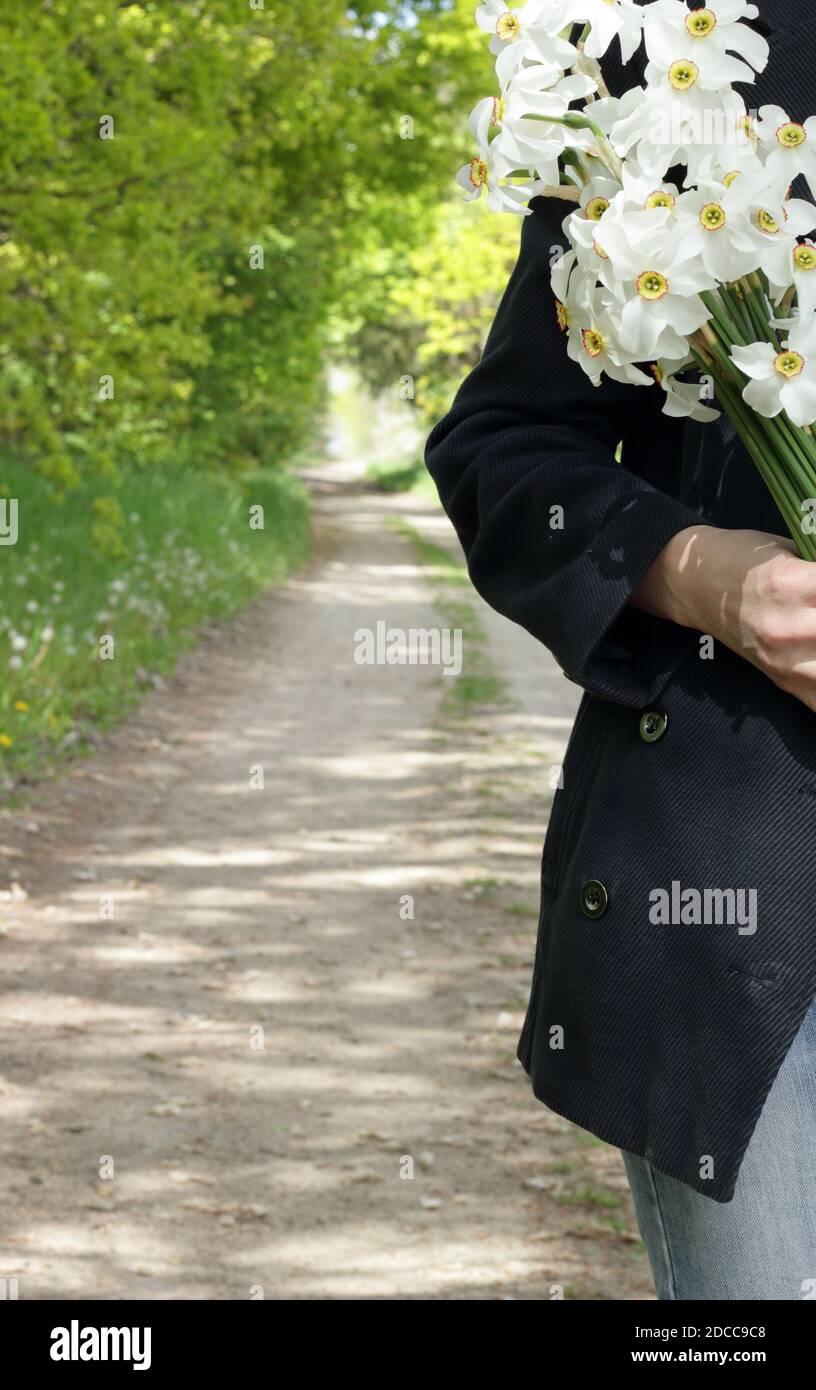 Casual dressed woman walking in the wild nature with a bouquet of daffodils, crop, closeup, copy space, connection to the wilderness lifestyle concept Stock Photo