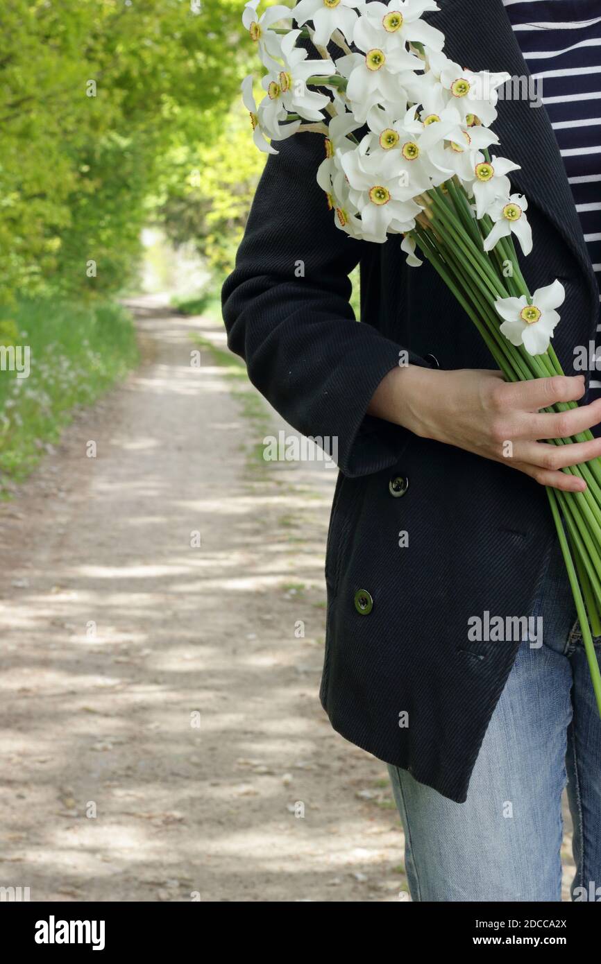 Casual dressed woman walking in the wild nature with a bouquet of daffodils, crop, closeup, copy space, connection to the wilderness lifestyle concept Stock Photo
