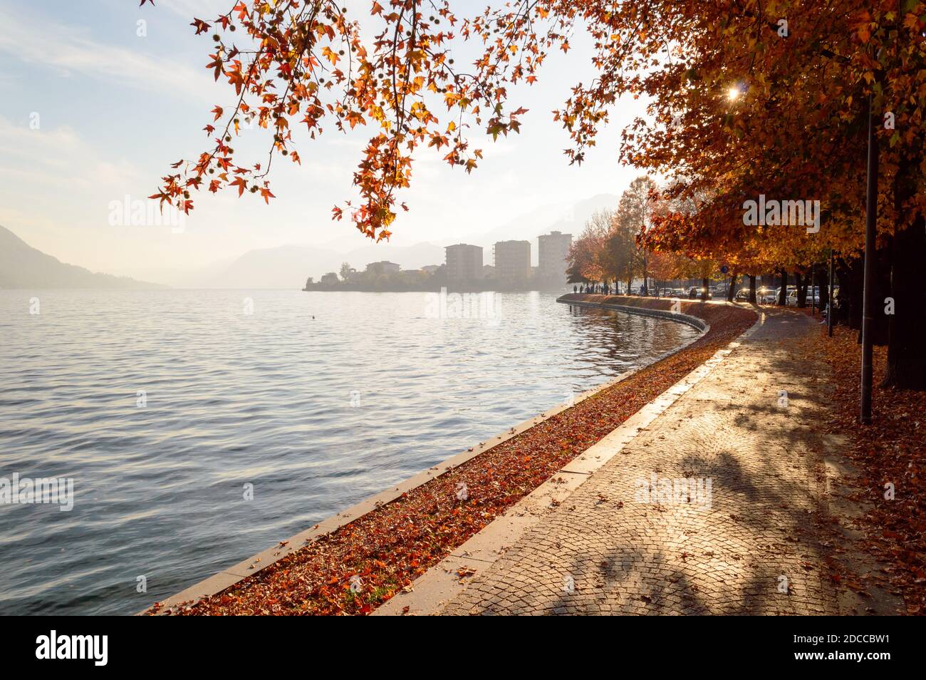 Tree-lined lakeside promenade in autumn in Omegna on Lake Orta Stock Photo