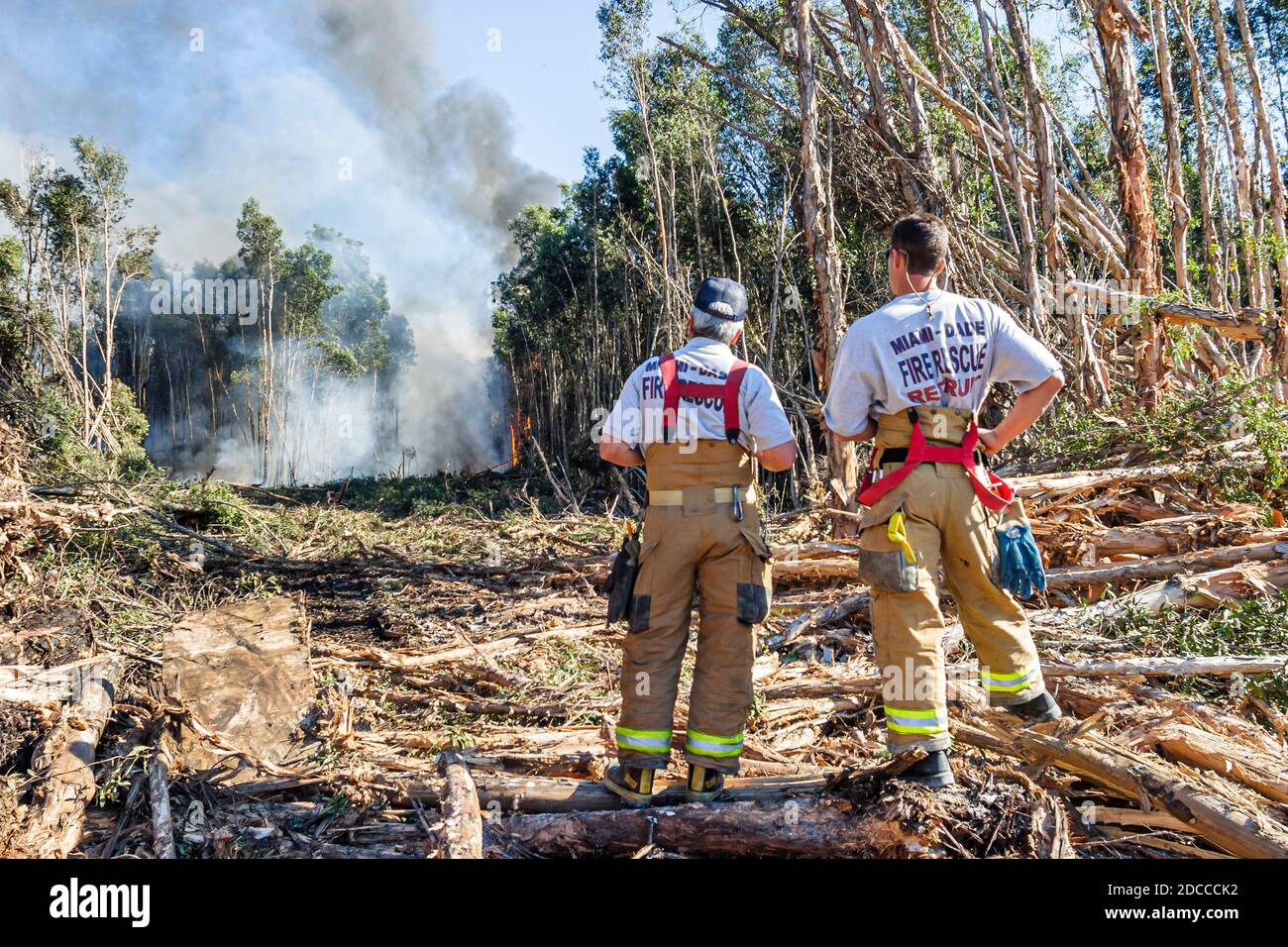 Miami Florida,Pennsuco West Okeechobee Road,fire damaged trees ash controlled burn,firemen fireman firefighters Everglades edge, Stock Photo