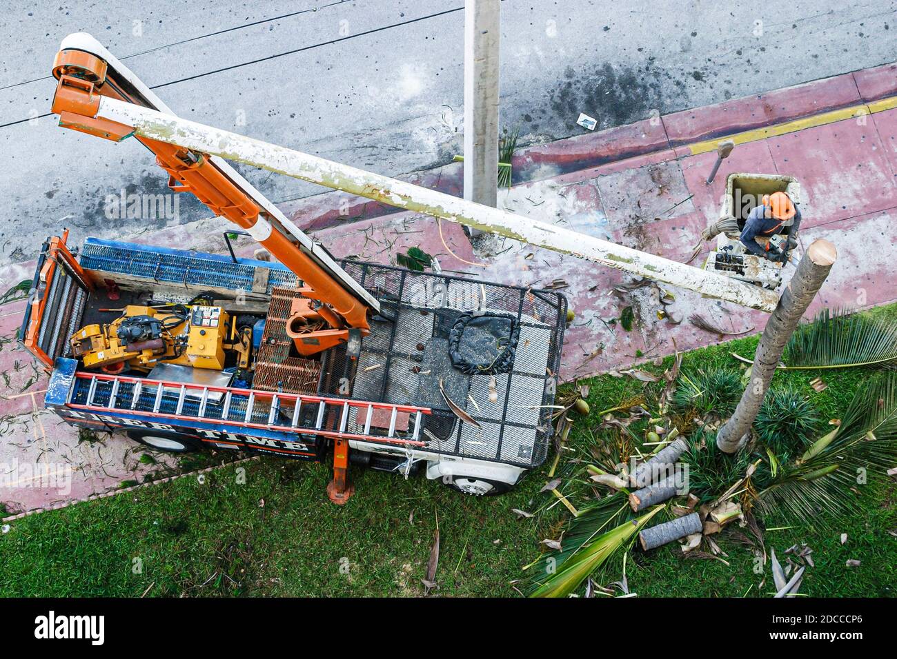 Miami Beach Florida,Ocean Drive,tree removal company climber,chain saw dangerous job bucket truck, Stock Photo