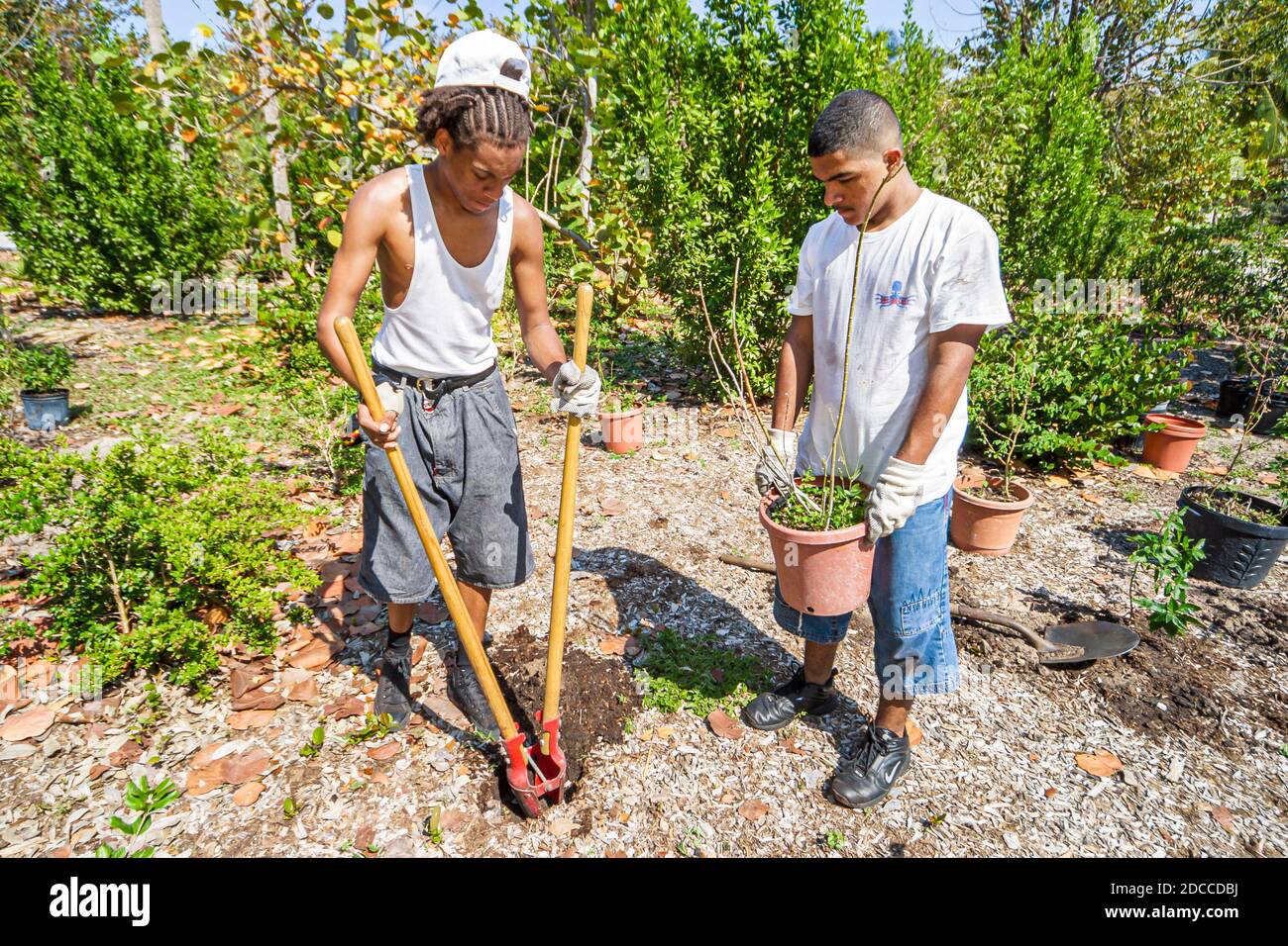 Miami Beach Florida,North Beach Shore Oceanfront Open Space Park,teen teens teenager teenagers Job Corps Earth Day,butterfly garden installing install Stock Photo