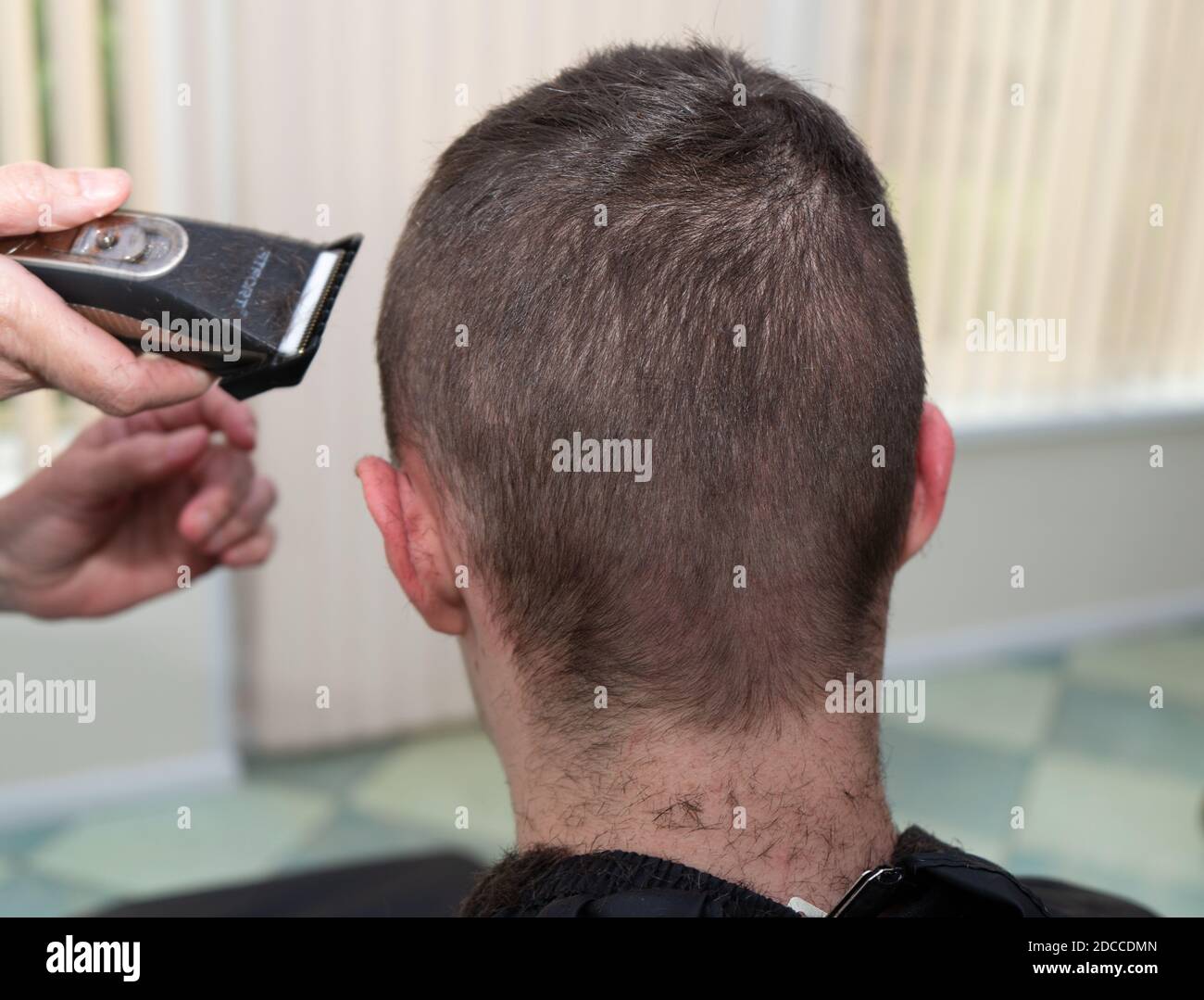 A back view of a teenage boy having his hair cut with clippers at home  Stock Photo - Alamy