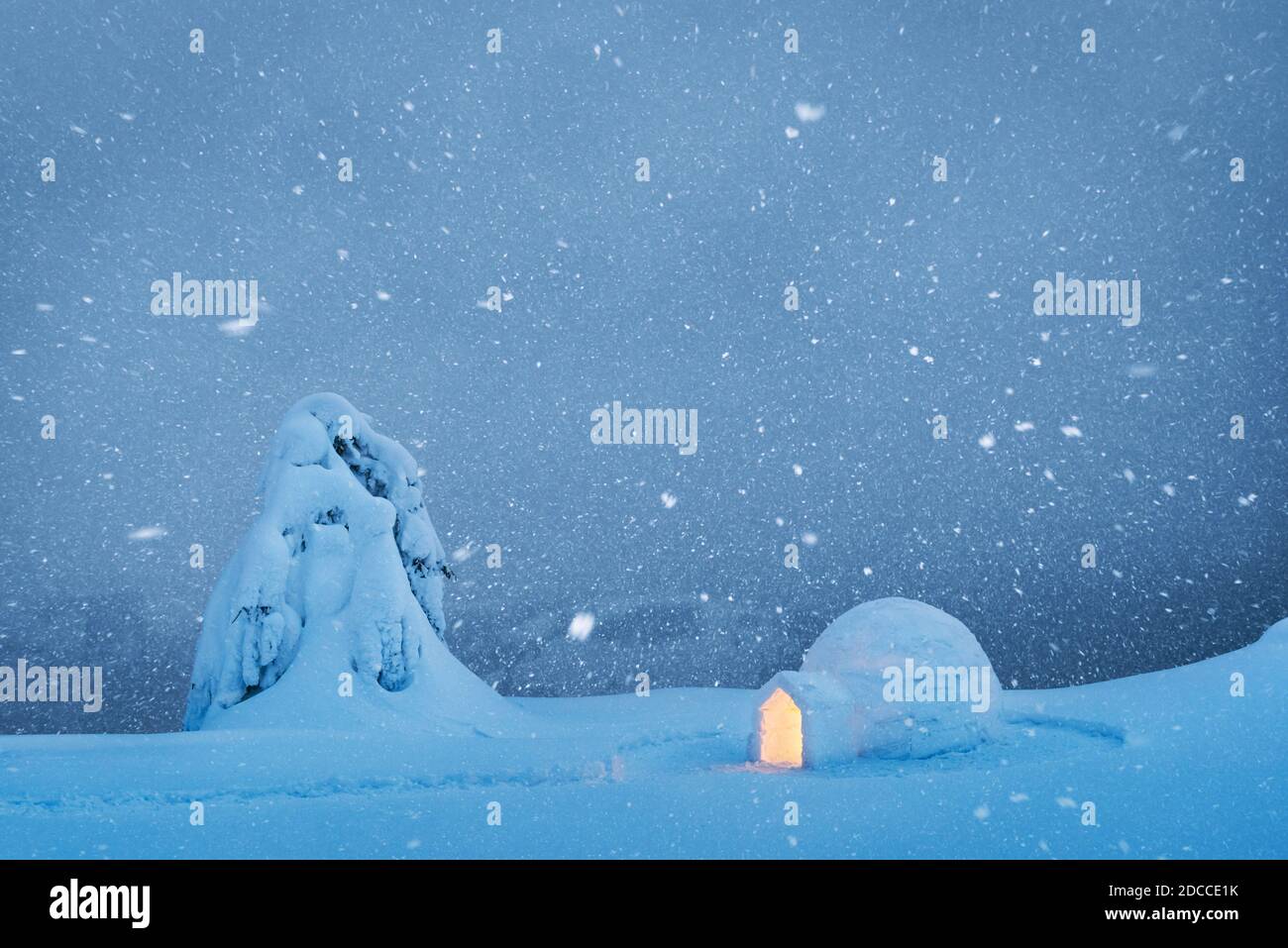 Snow igloo luminous from the inside in the winter mountains meadow. Snow-covered fir in the evening light in the background Stock Photo