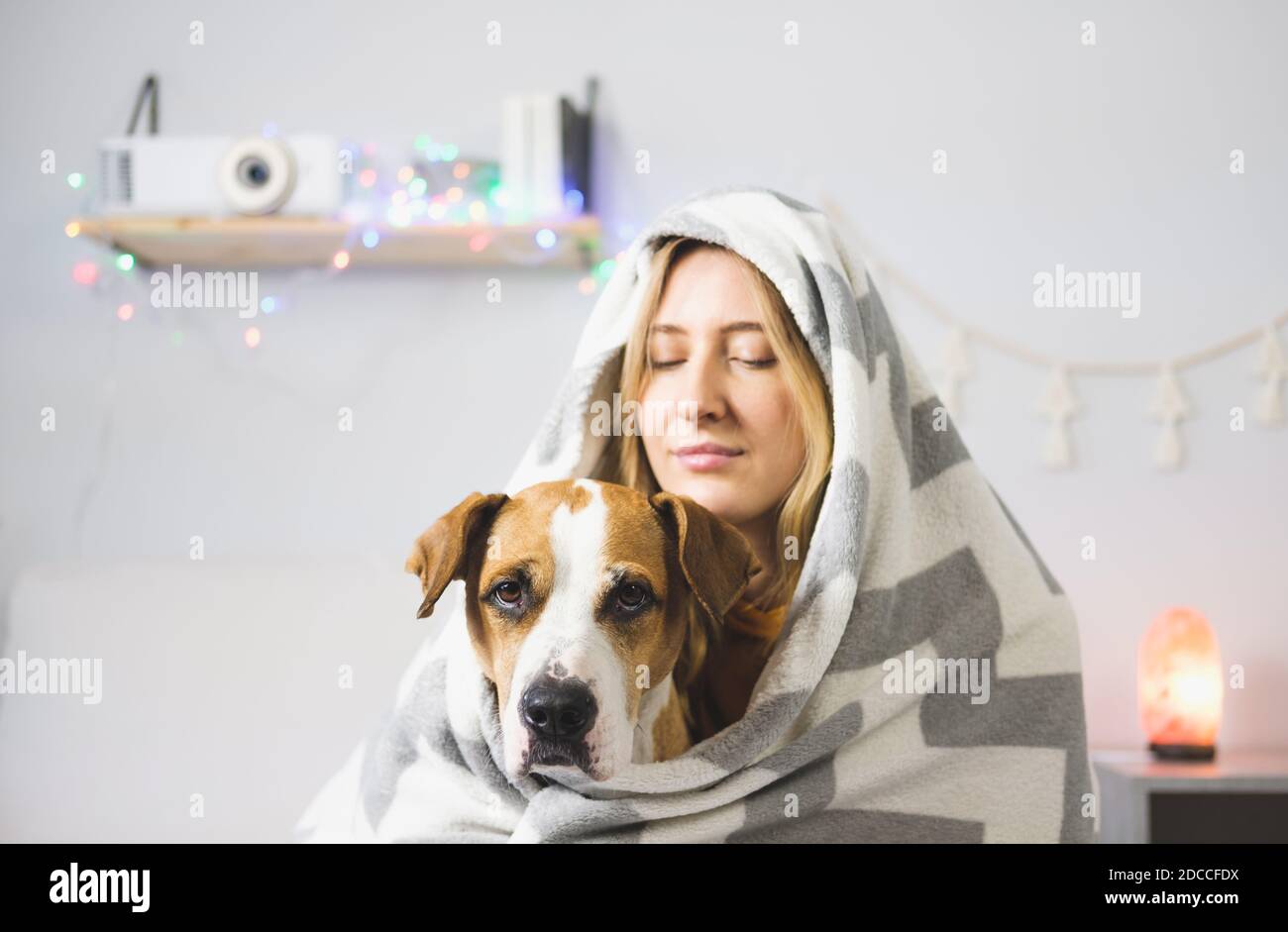 dog blankets for winter