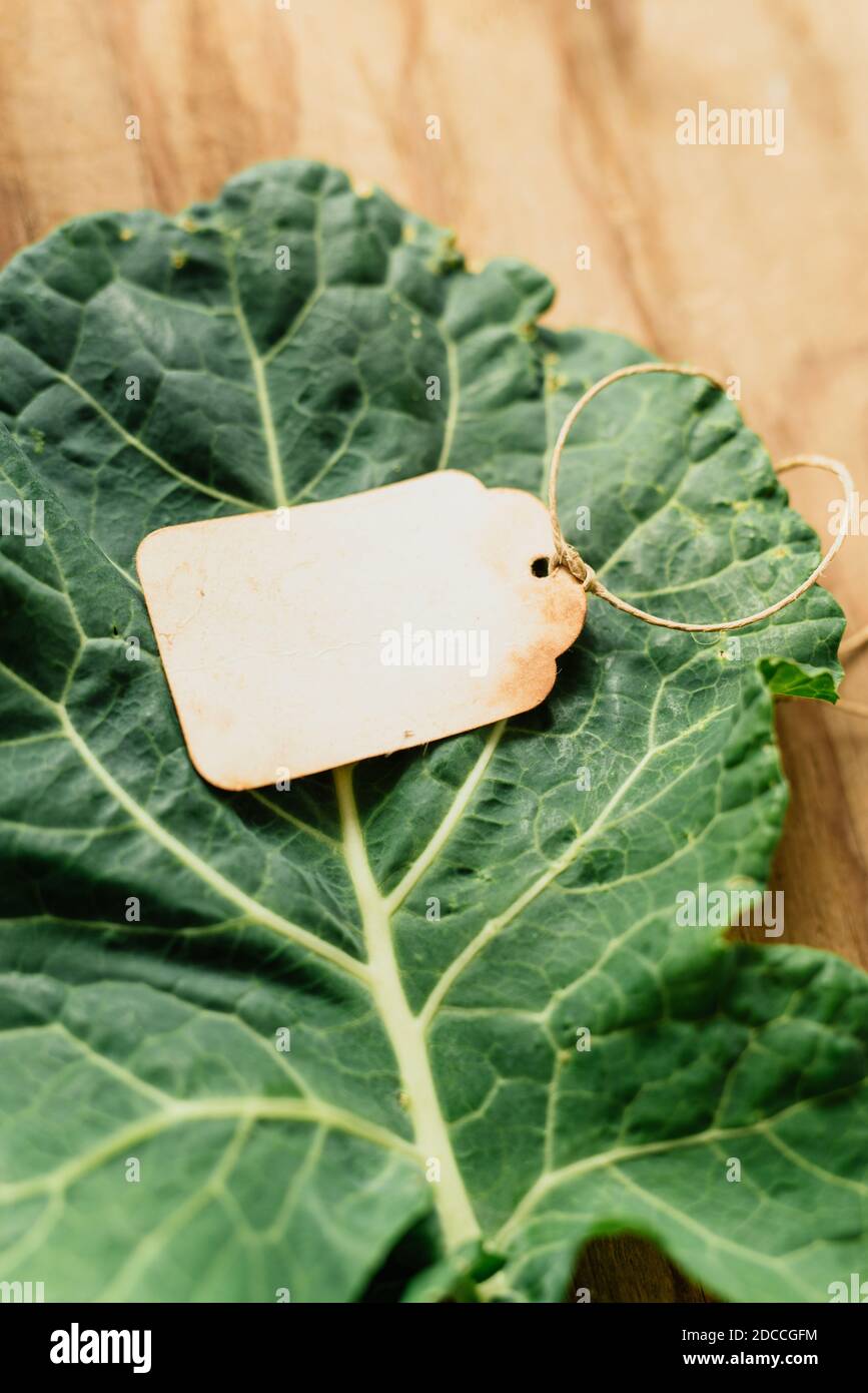 https://c8.alamy.com/comp/2DCCGFM/blank-paper-tag-and-fresh-collard-leafs-on-wooden-background-2DCCGFM.jpg