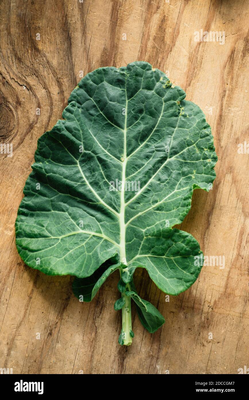 Organic collard greens hi-res stock photography and images - Page 3 - Alamy