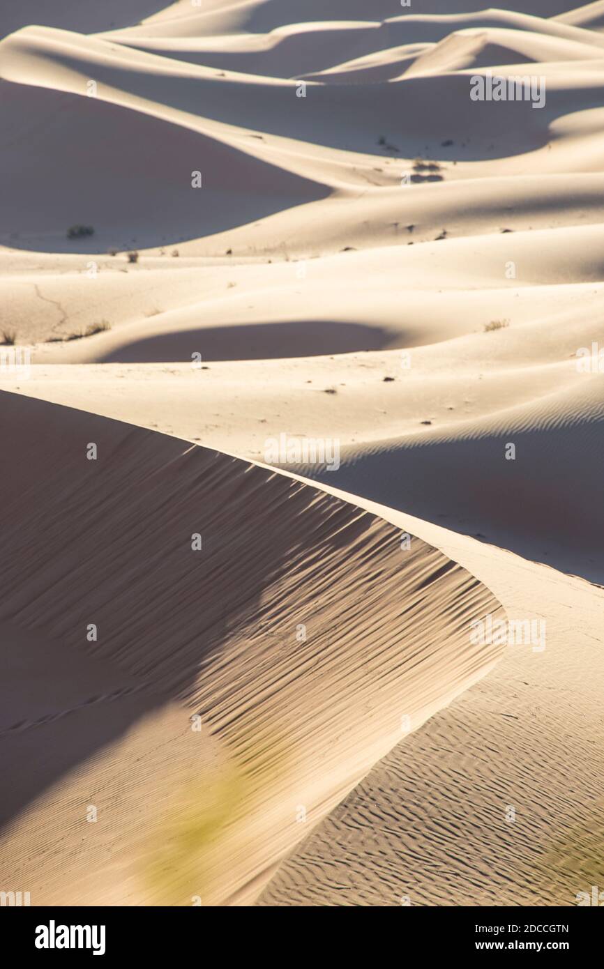 United Arab Emirates, Abu Dhabi, Al Ain, Remah Desert Stock Photo - Alamy