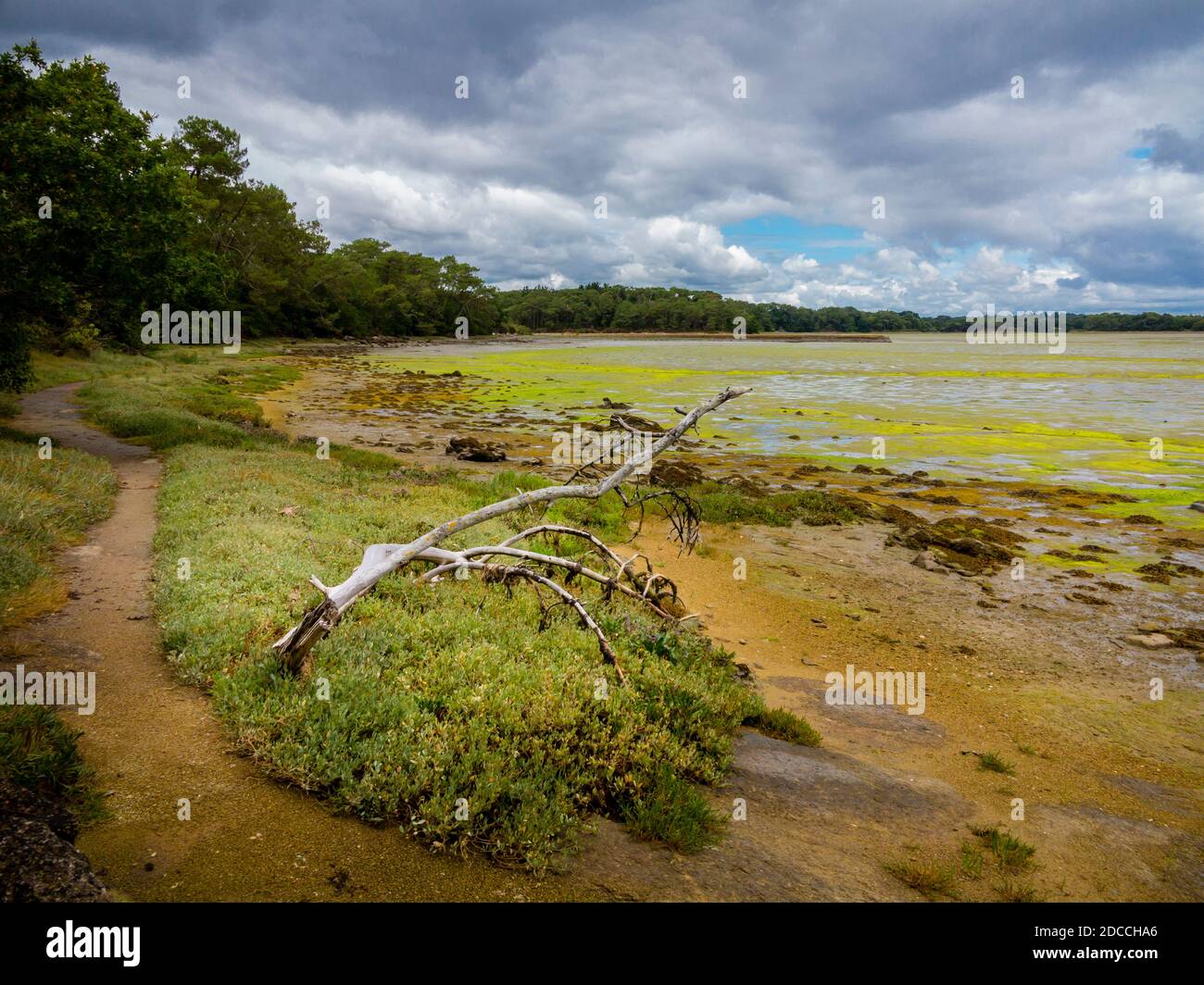 The estuary of the Pont L'Abbe river in Finistere Brittany north west France. Stock Photo