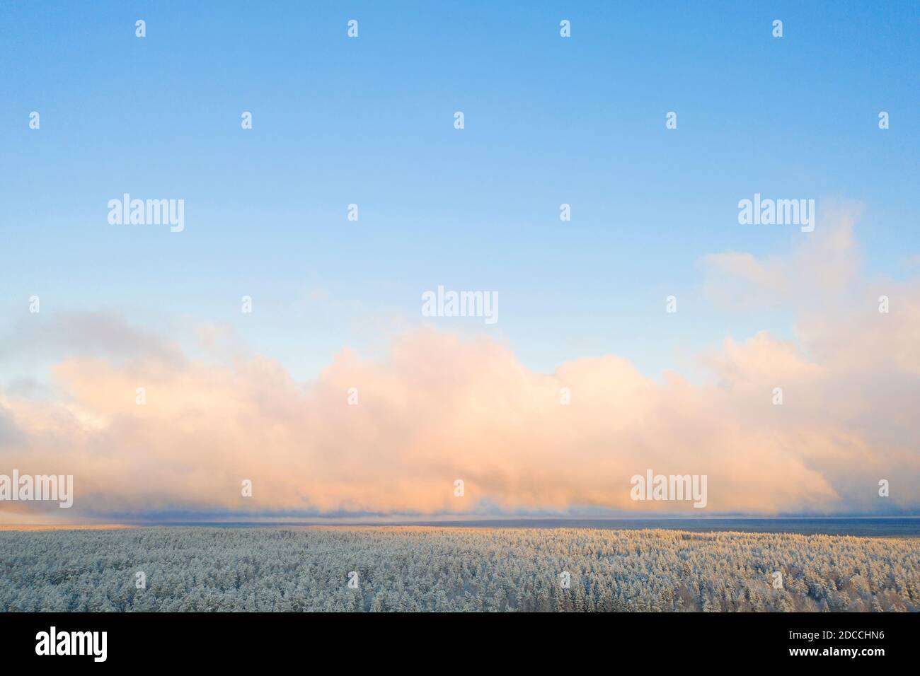 Aerial view of a winter snow covered pine forest. Winter forest texture. Winter landscape with clouds. Snow covered forest. View from above Stock Photo