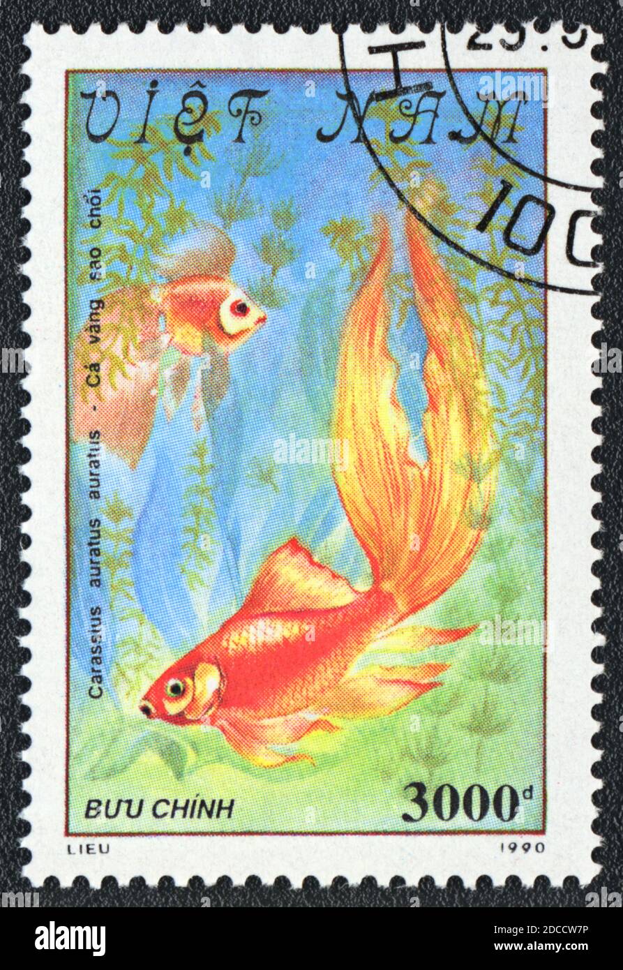 A stamp printed in  Vietnam shows a  Fantail goldfish Carassius auratus auratus,  series 'Goldfish', 1990 Stock Photo