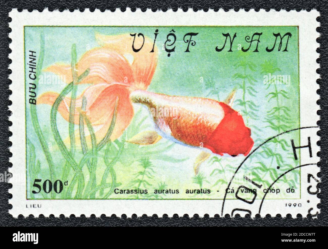 A stamp printed in Vietnam shows a drawing goldfish Red-headed Oranda (Carassius auratus auratus),  series 'Goldfish', 1990 Stock Photo
