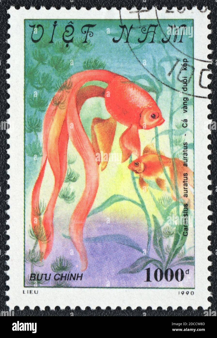 A stamp printed in Vietnam shows a Fantail goldfish is the western form of the Ryukin (Carassius auratus auratus), series 'Goldfish', 1990 Stock Photo