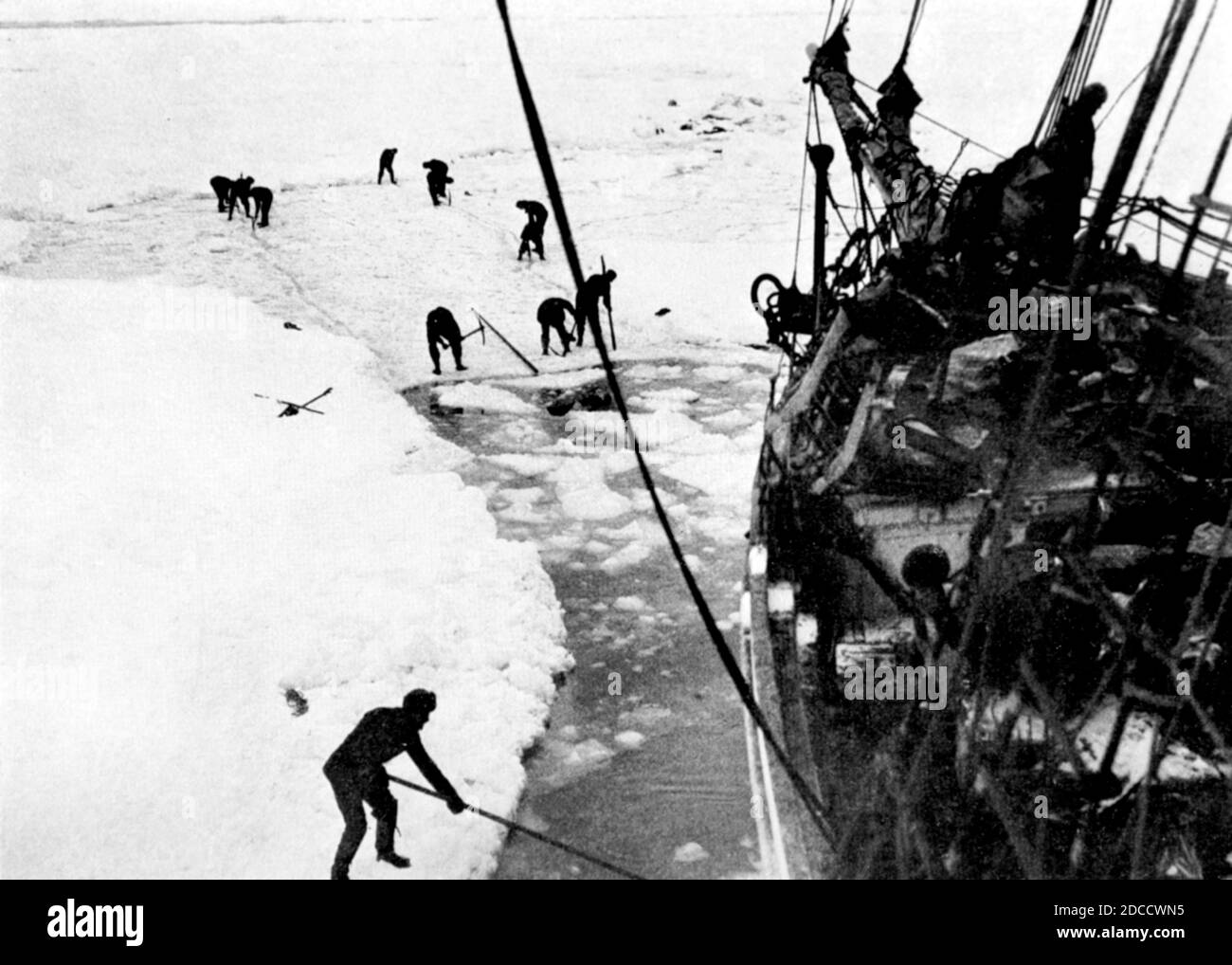 Imperial Trans-Antarctic Expedition, Endurance, 1915 Stock Photo