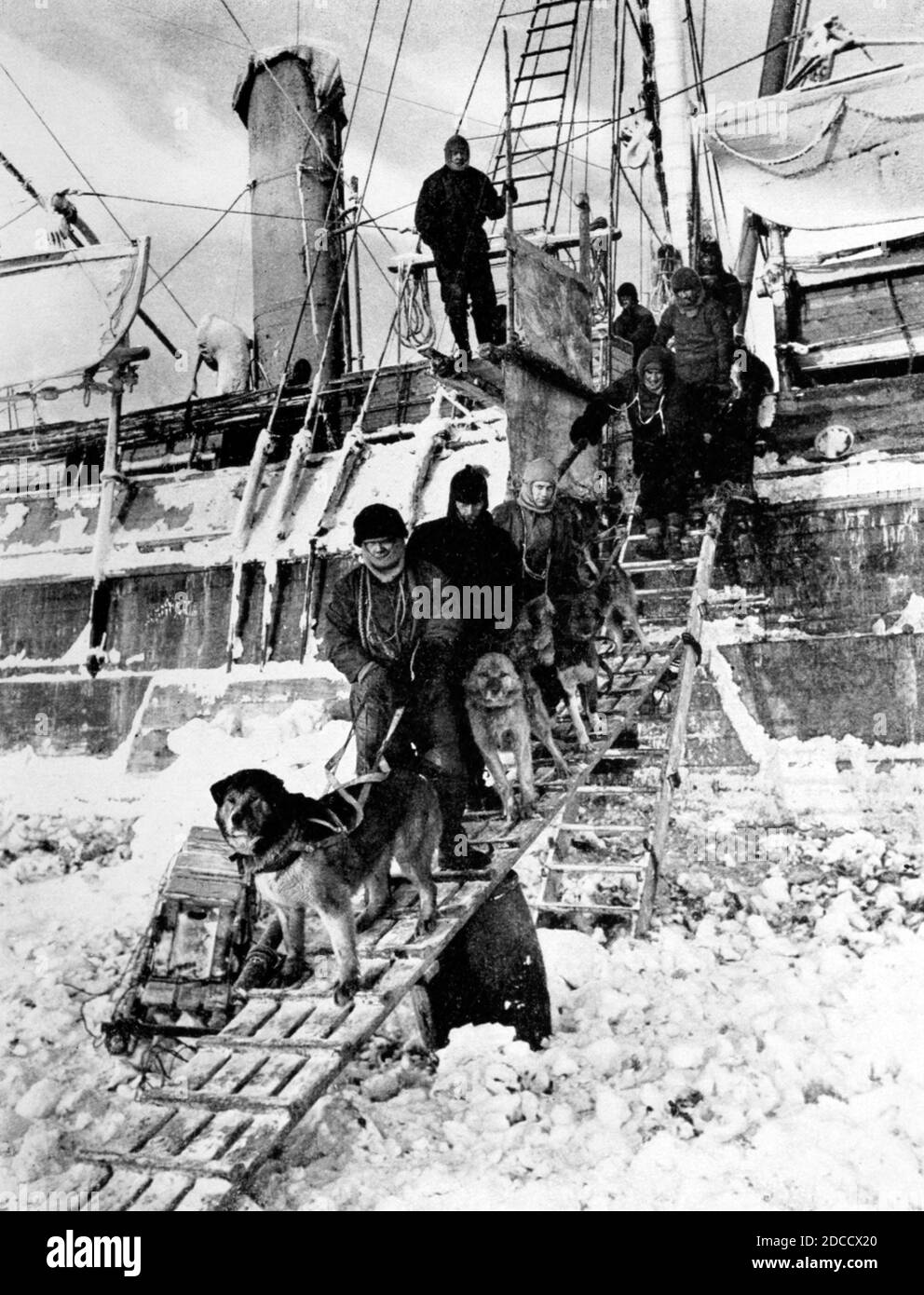 Endurance Crew with Sled Dogs, 1915 Stock Photo