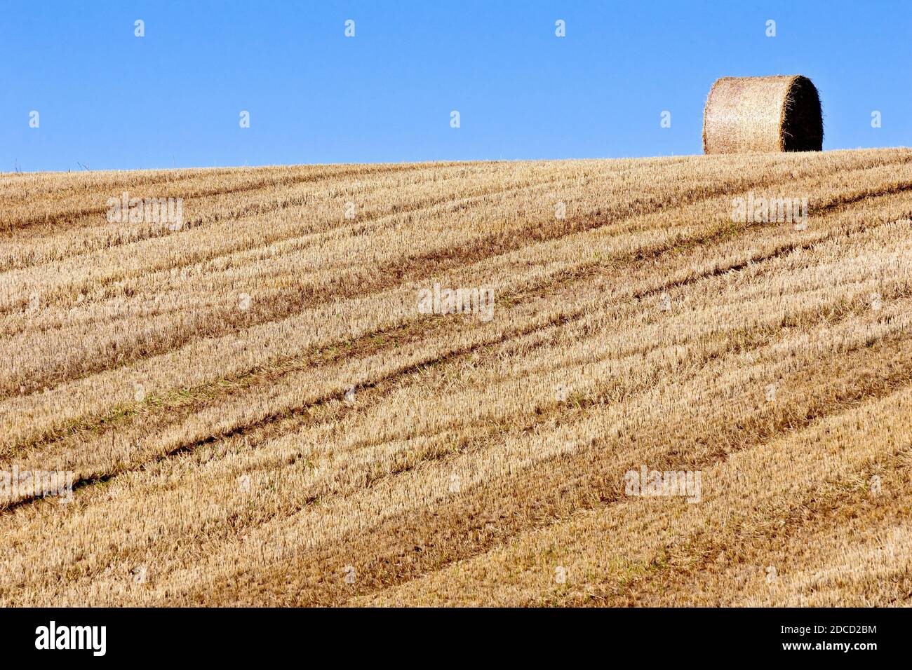 A harvested field, showing the stubble and a single bale of straw left sitting on the crest of the hill. Stock Photo