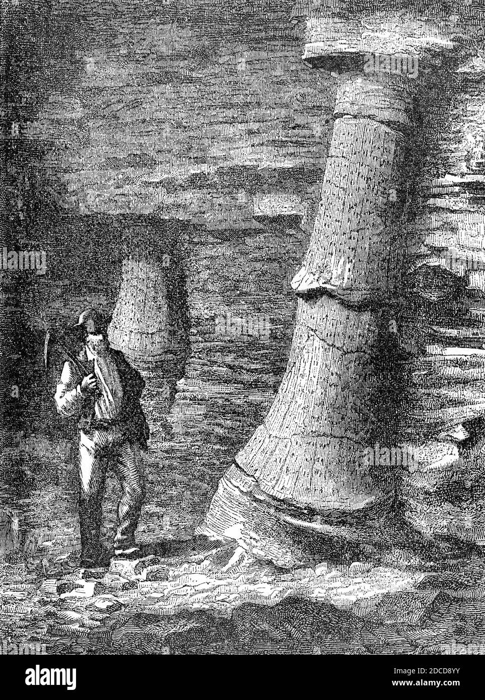 Coal Mine Tree Trunks, 1884 Stock Photo