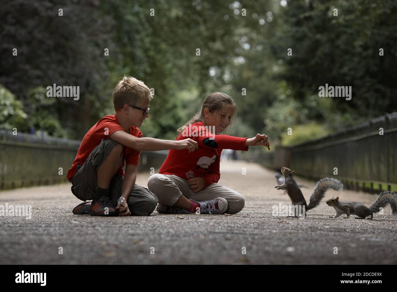 GREAT BRITAIN / England / London / Children hand-feeding squirrels in Hide Park. Stock Photo