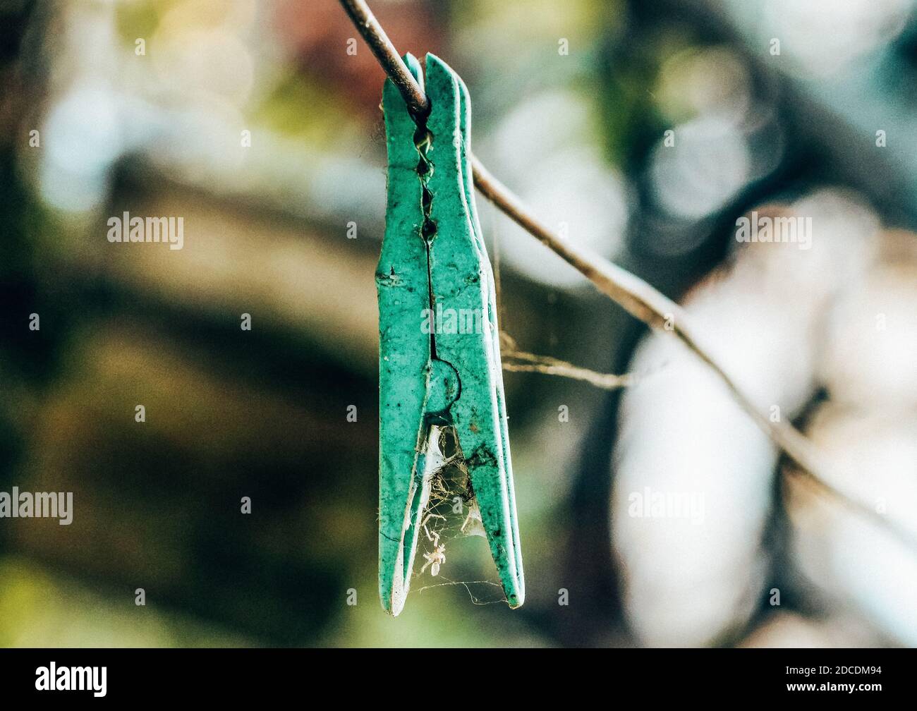 Green clothespin on a cord Stock Photo