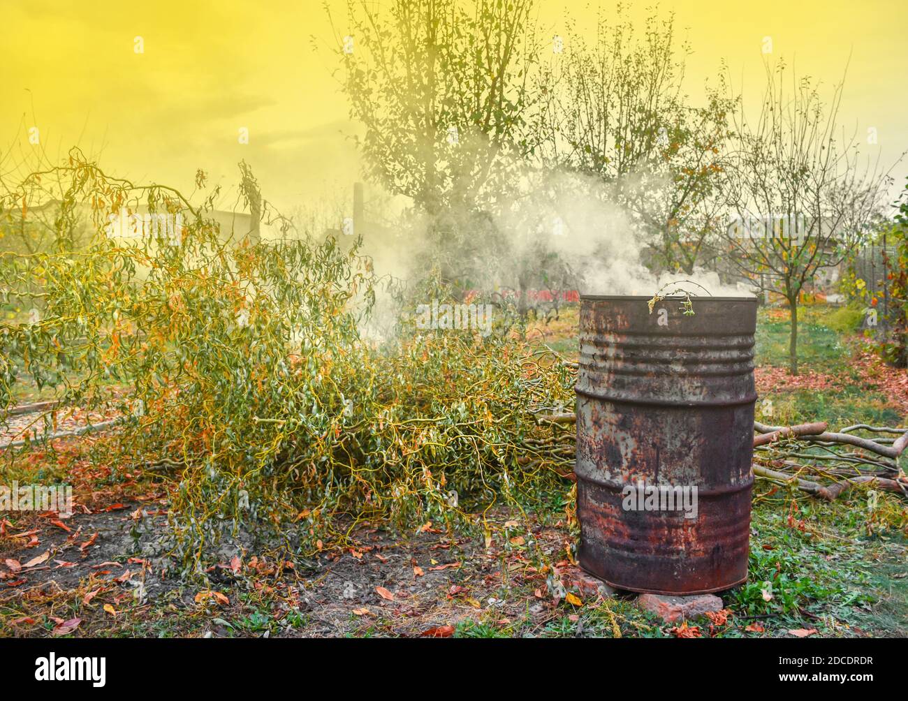 Autumn activity in garden, burning leaves, branches and dry grass in a old rusty barrel. Air pollution from farmers in the countryside Stock Photo