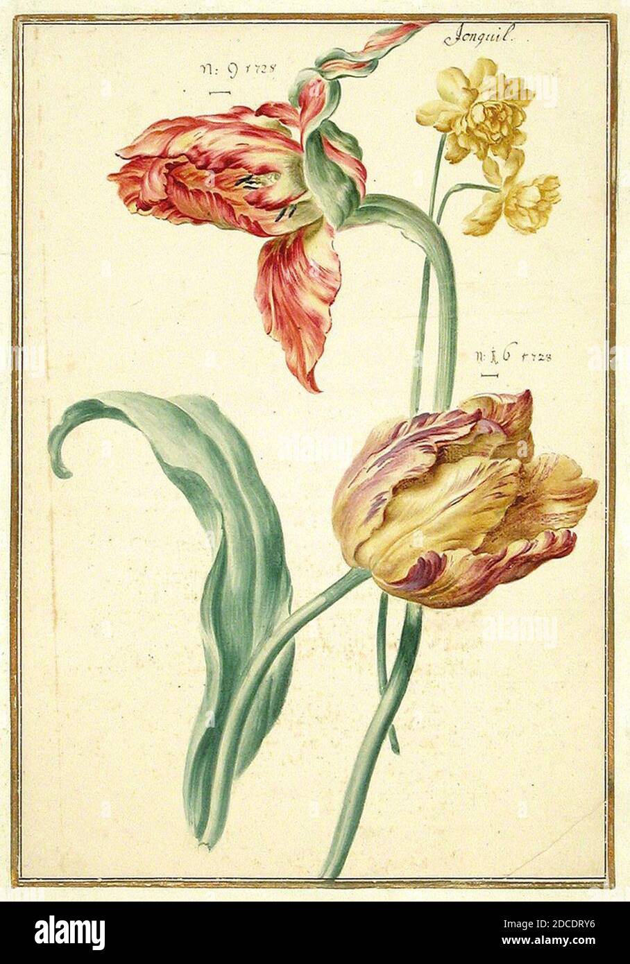 Frühstücksbrettchen „Aus Dem Karlsruher Tulpenbuch“ – 23,5 X 14,3 Cm, Hitzebeständig Bis 150°C
