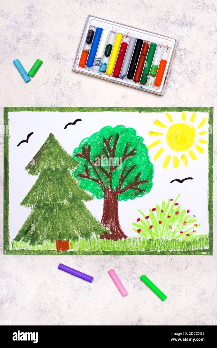 Colorful Drawing Beautiful Forest Springtime Stock Photo Alamy