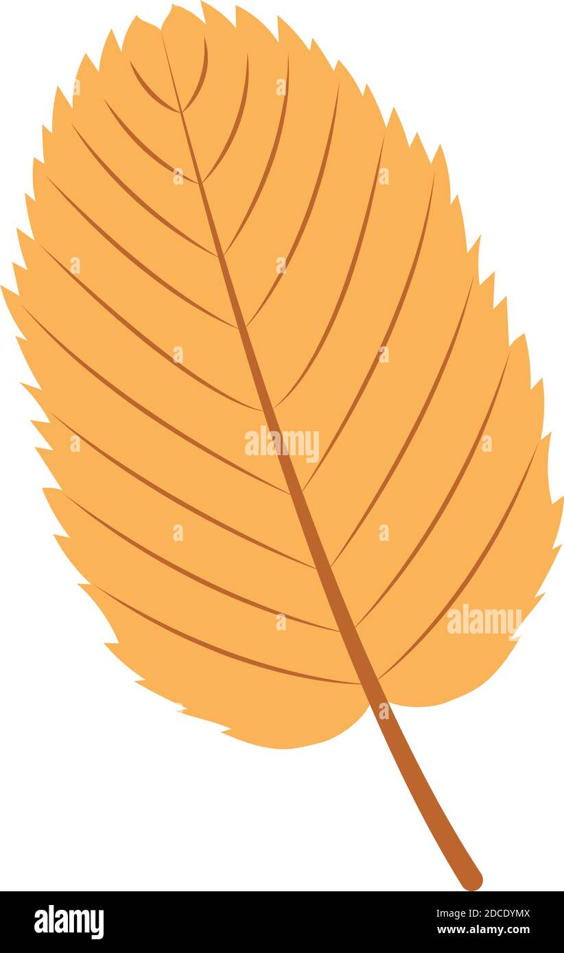 Dry autumn leaf Stock Vector Image & Art - Alamy