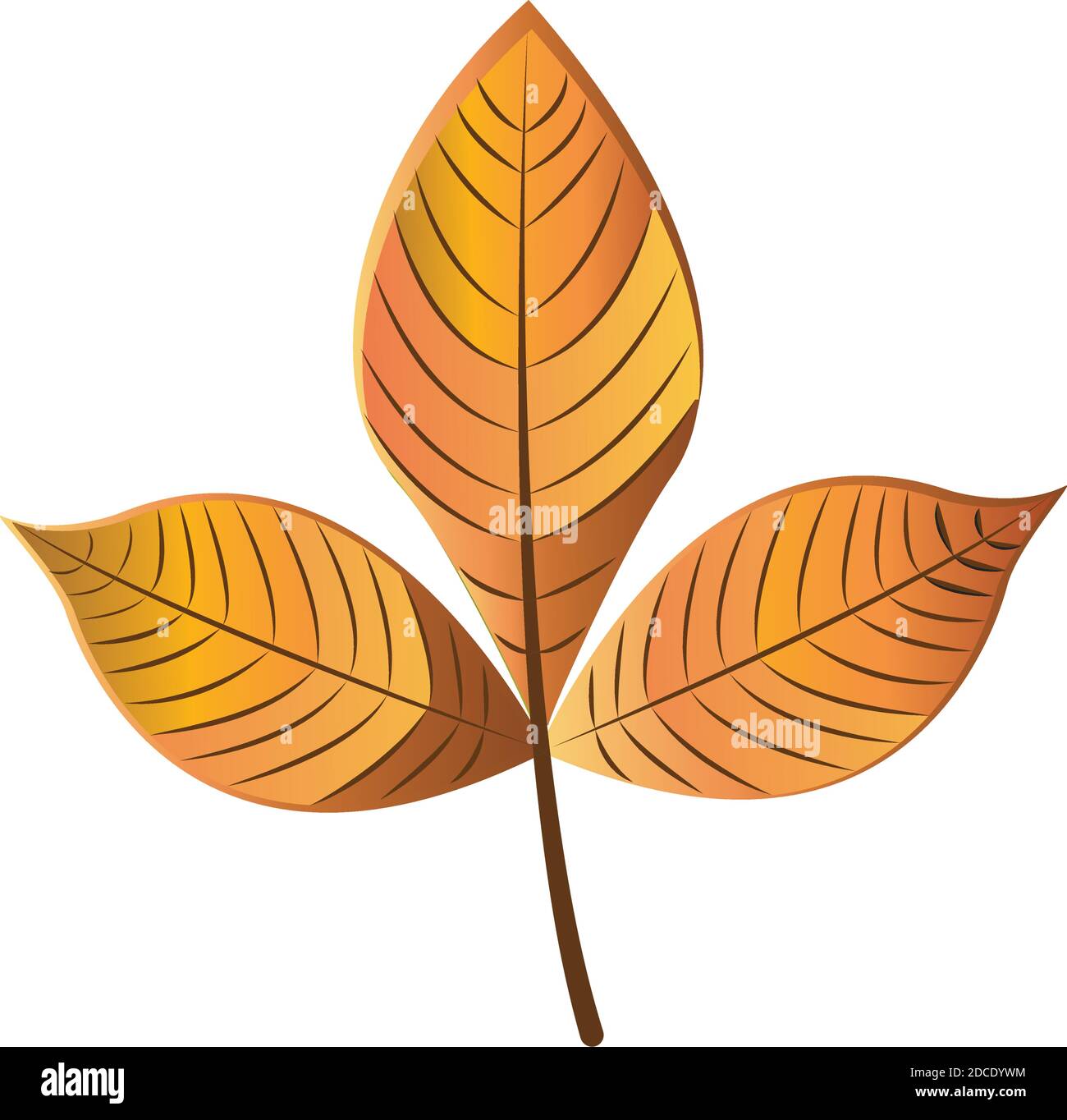 Dry autumn leaf Stock Vector Image & Art - Alamy