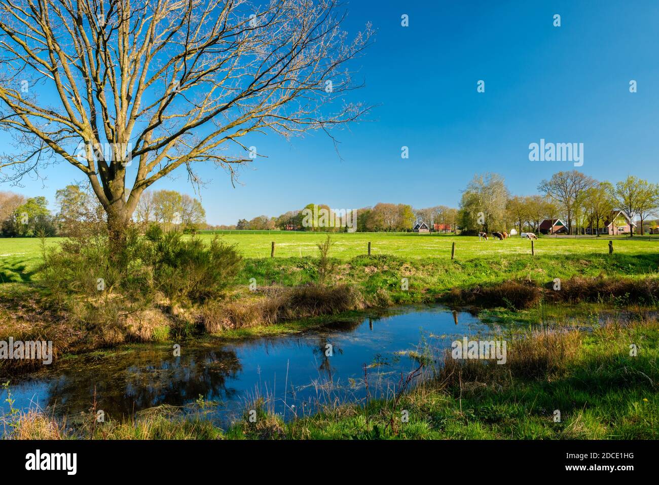 Walking trail in a beautiful Dutch farm landscape along green fields