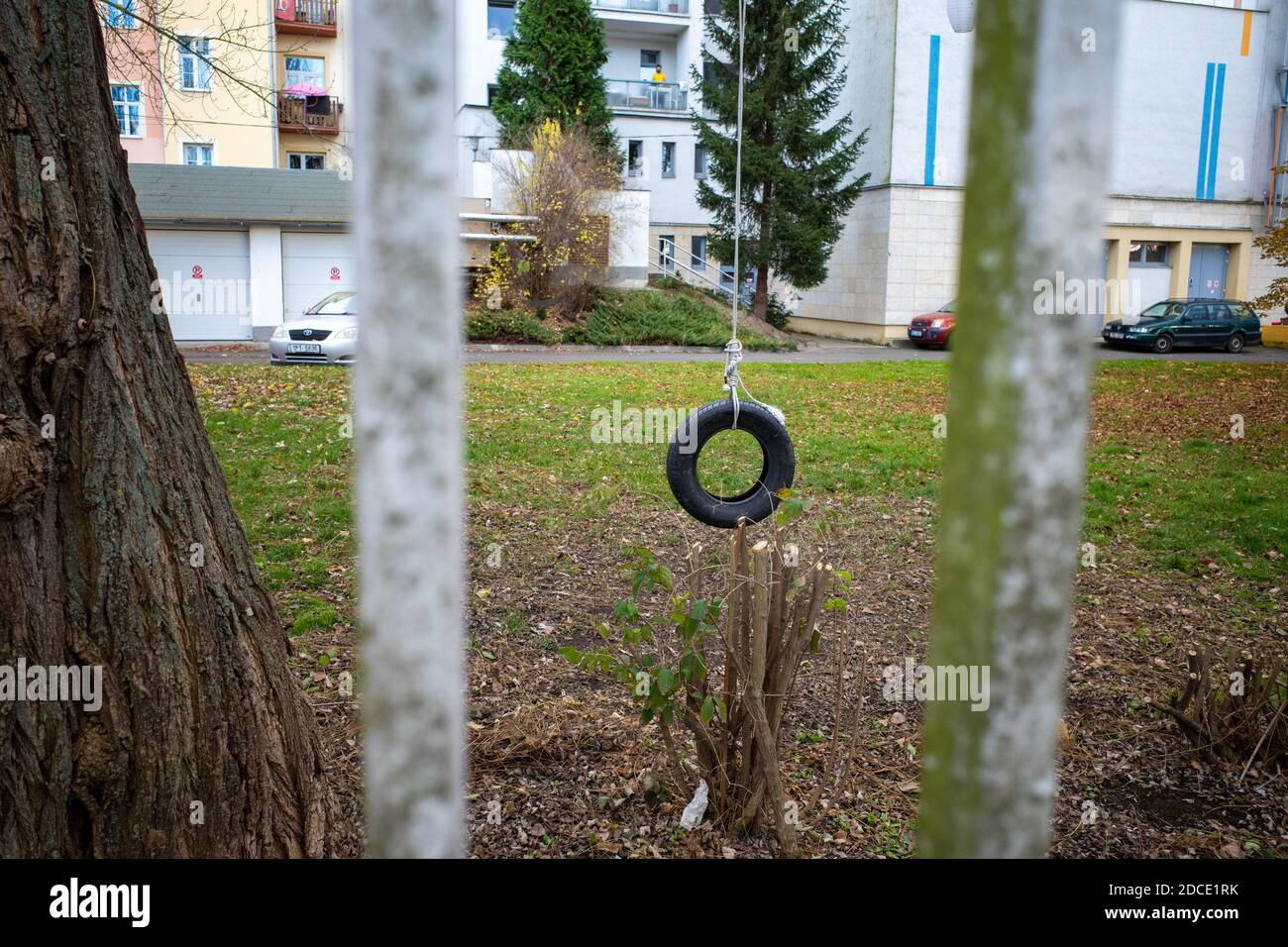 Swing for children made of tire hanging on a rope fixed to a tree ...
