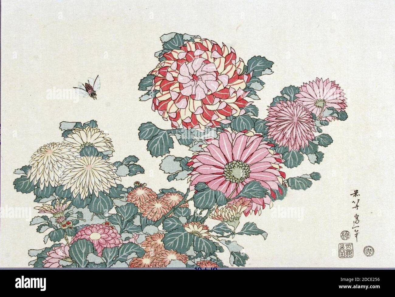 Katsushika Hokusai (1760-1849), Chrysanten met honingbij. Stock Photo