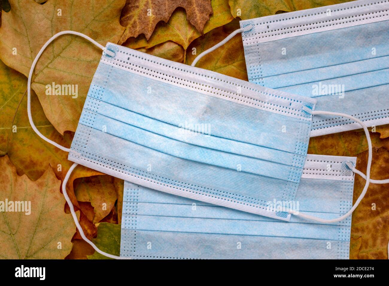 Blue face masks on dry autumn leaves with copy space for text. Face mask for prevent corona virus, covid-19 or air pollution. Stock Photo