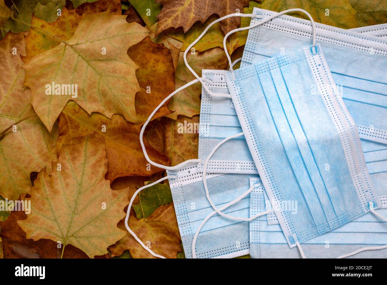 Blue face masks on dry autumn leaves with copy space for text. Face mask for prevent corona virus, covid-19 or air pollution. Stock Photo