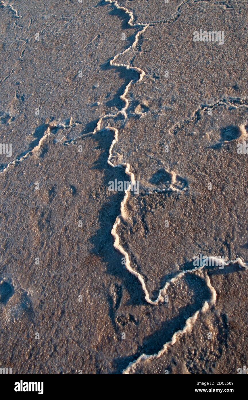 Shallow waters cover the hard salt pan of Lake Tyrrell in the Mallee region of northwest Victoria, Australia, which covers 180 square km Stock Photo