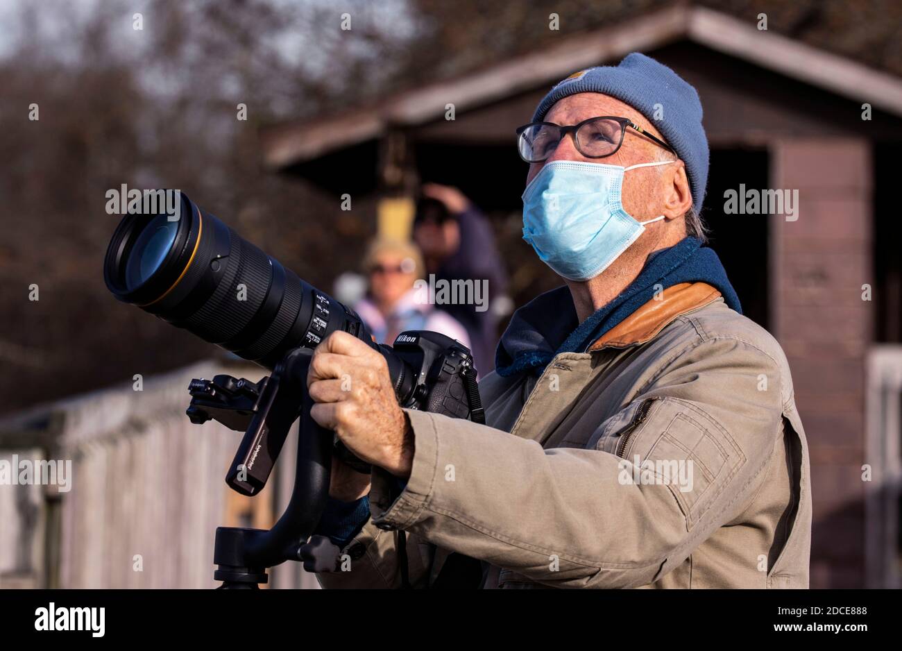 Wildlife photographer of the year hires stock photography and images