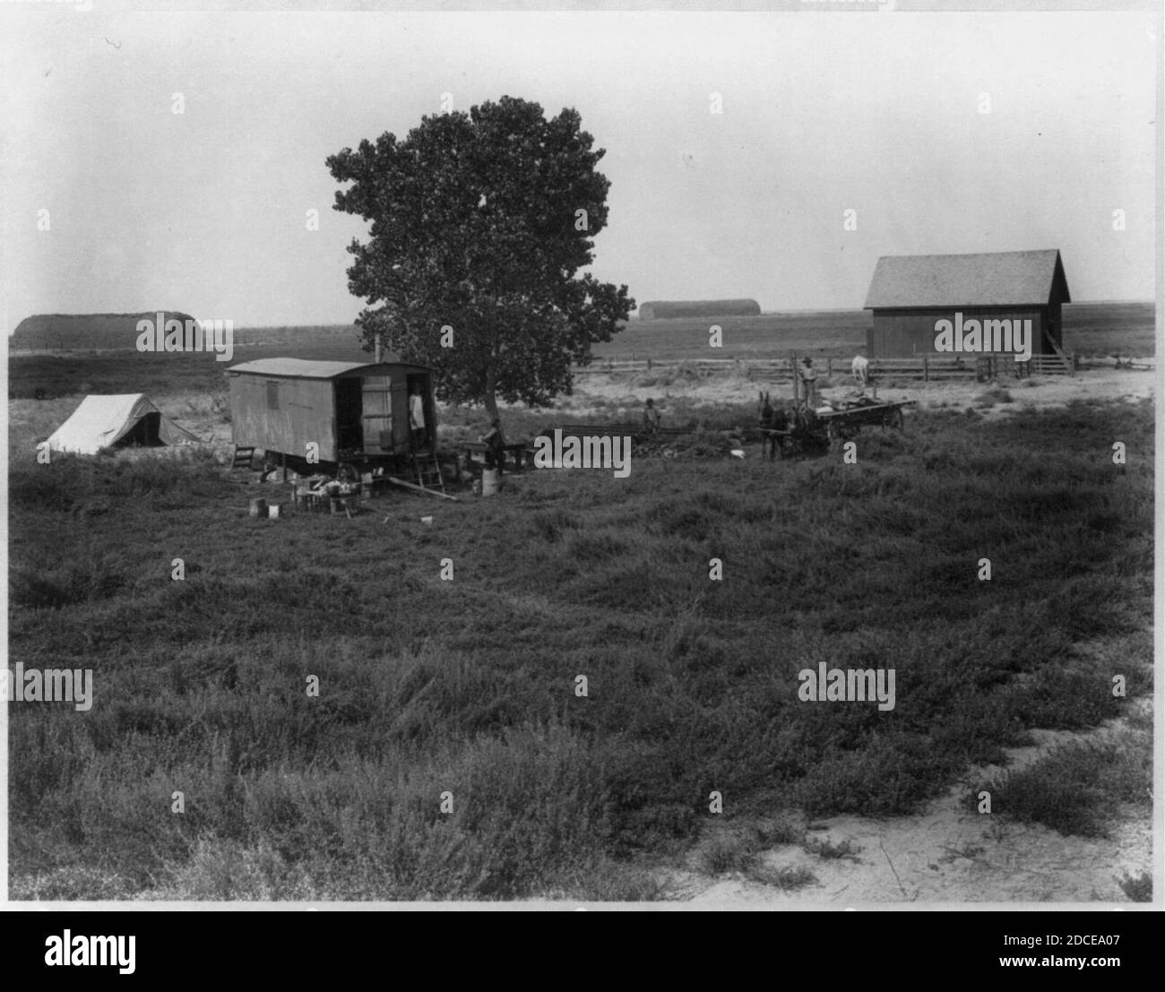 Collins Ranch Kern County, California)- Collins Ranch. Haying- the haymakers' camp ...