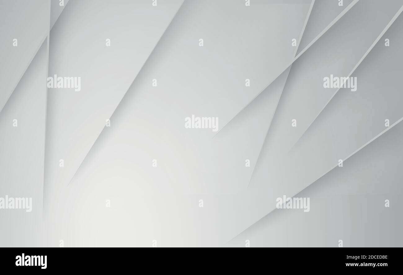 Abstract white panoramic background with lines - Vector illustration ...