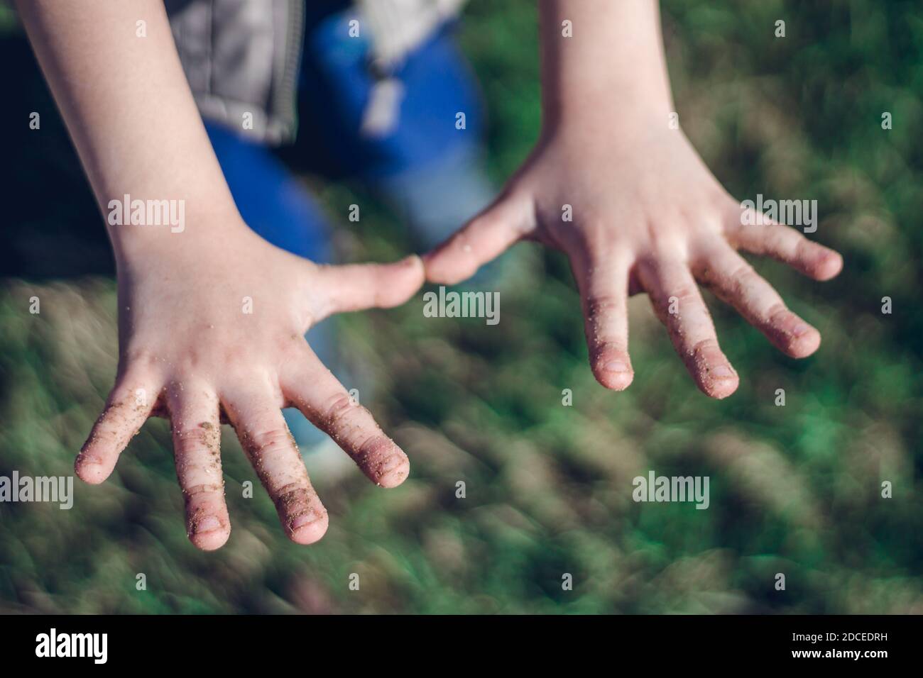 Small child's outstretched dirty hands on the green grass background in the park. Hygiene concept, close up. Stock Photo