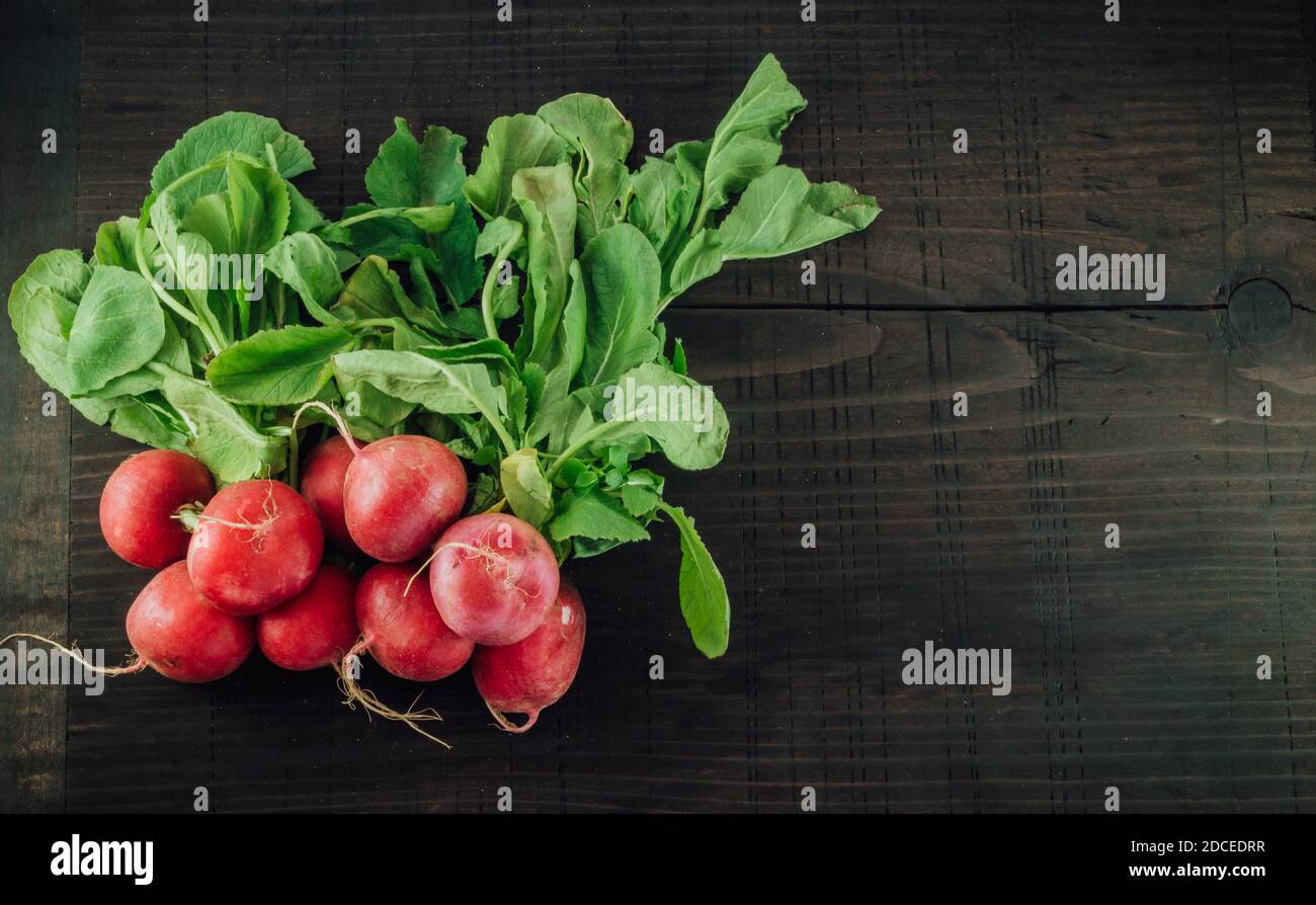 Fresh organic unwashed radishes from the garden. Dark wooden background, top view. Stock Photo