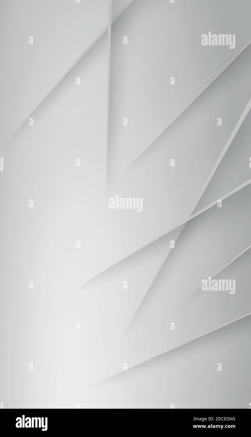 Abstract white panoramic background with lines - Vector illustration ...
