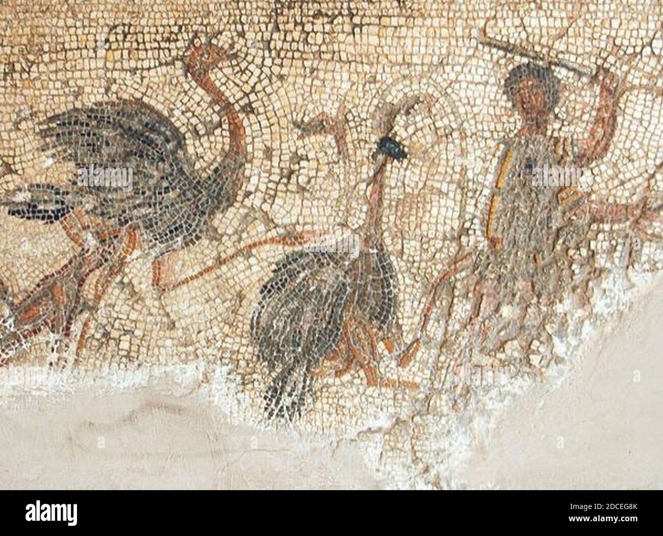 Killing ostriches on the Zliten mosaic Stock Photo Alamy